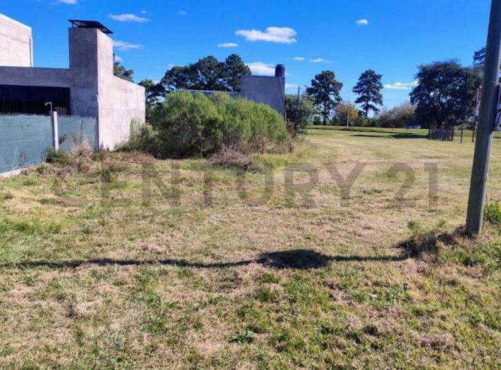 Terreno · 327m²