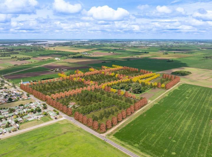 Terreno · 366m²