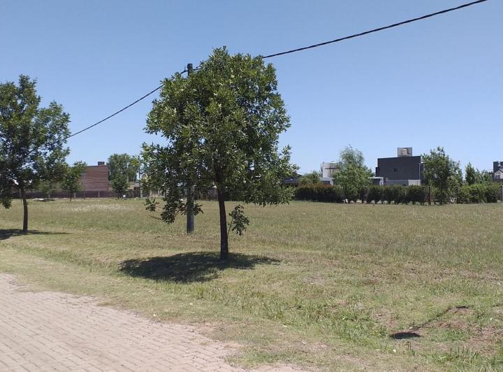 Terreno · 612m²