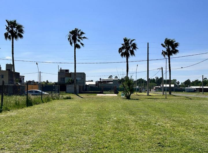 Terreno · 312m²