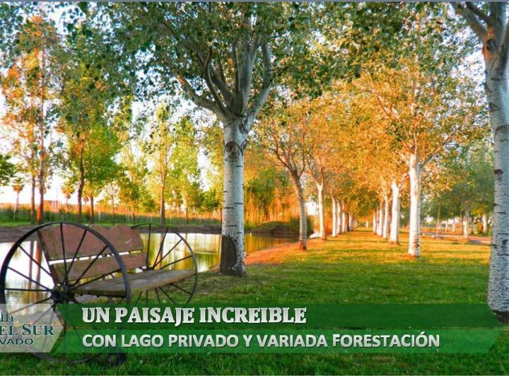 Terreno · 435m²