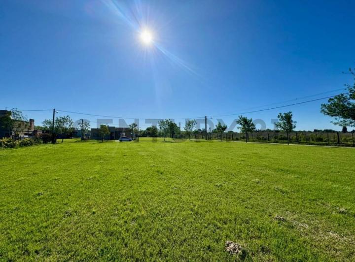 Terreno · 1130m²
