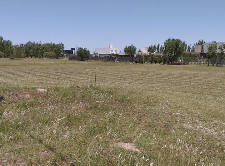 Terreno · 585m²