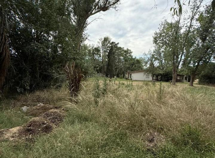 Terreno · 3924m²
