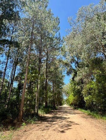 Terreno · 800m²