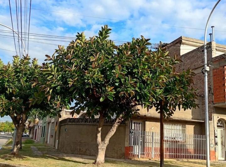 Casa · 136m² · 3 Ambientes · 1 Cochera