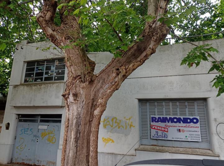 Casa · 202m² · 6 Ambientes · 1 Cochera