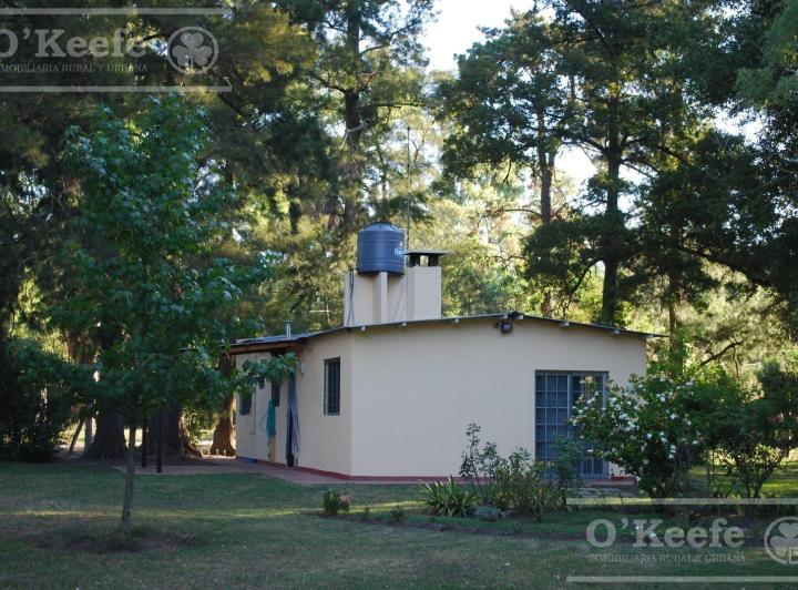 Casa · 70m²