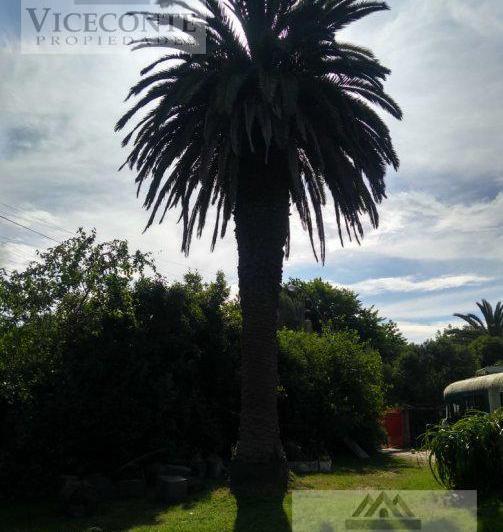 Casa · 1568m² · 6 Ambientes