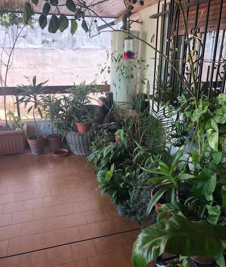 Departamento · 90m² · 3 Ambientes