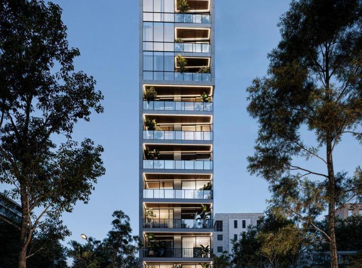 Desarrollo vertical