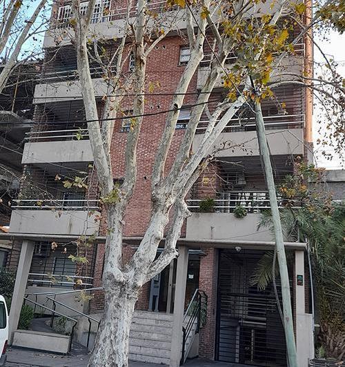 Departamento · 63m² · 3 Ambientes