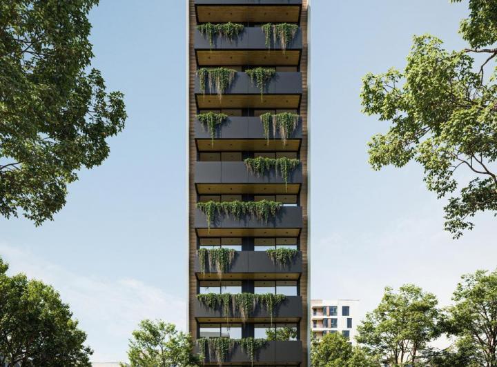 Desarrollo vertical