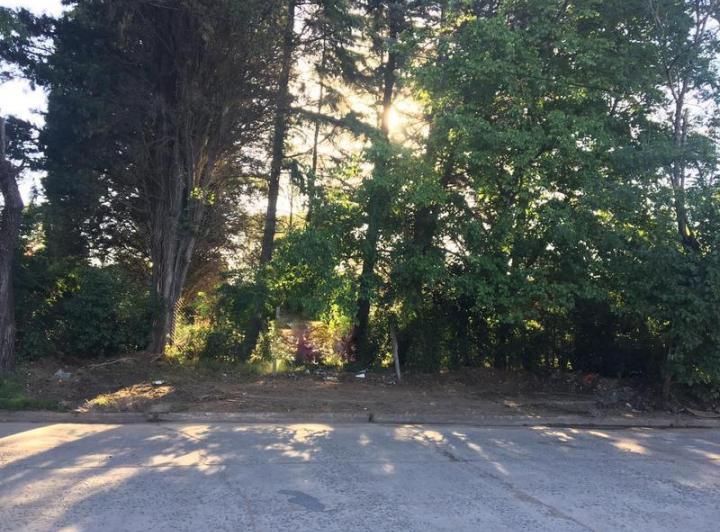 Terreno · 1000m²
