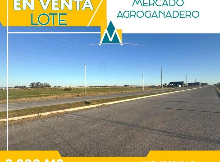 Terreno · 2000m²