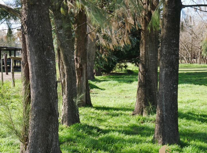 Terreno · 2130m²