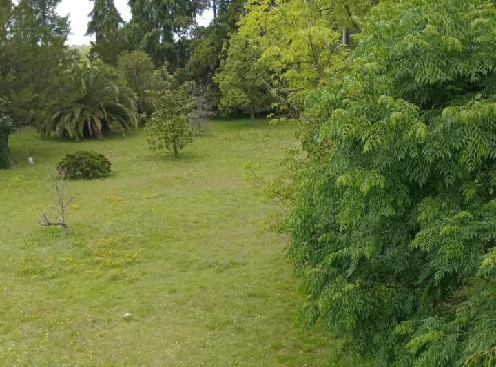 Terreno · 2288m²