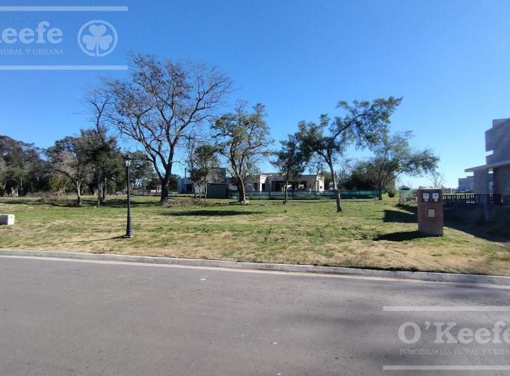 Terreno · 663m²