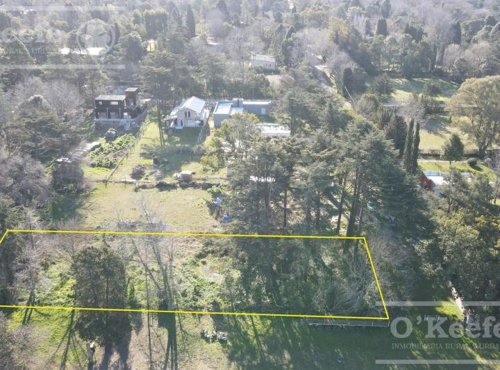 Terreno · 1724m²