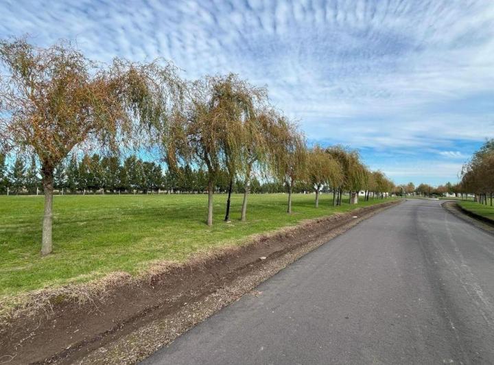 Terreno · 1000m²