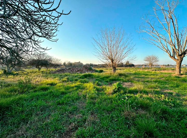 Terreno · 22500ha