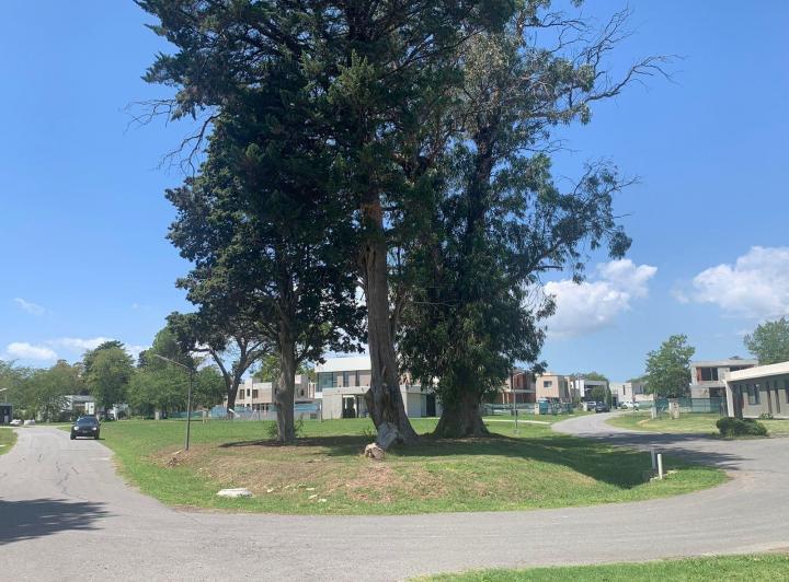 Terreno · 1154m²