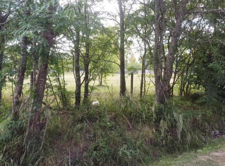 Terreno · 550m²
