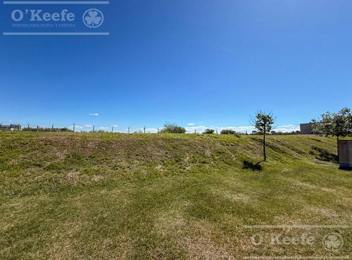 Terreno · 662m²