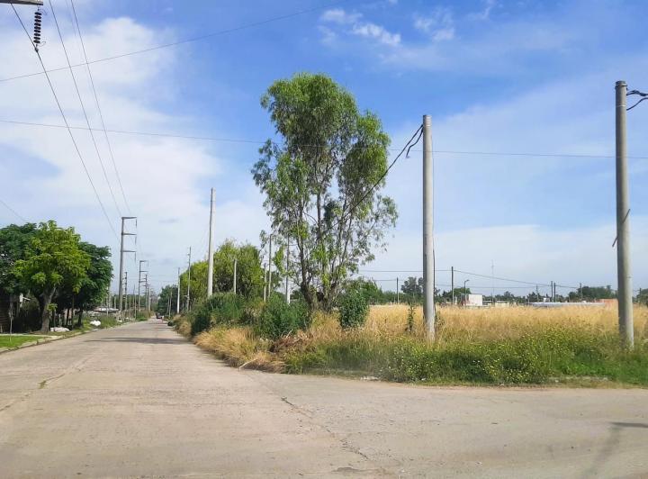 Terreno · 316m²