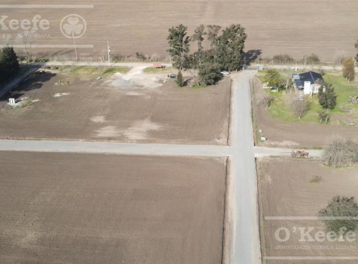 Terreno · 303m²