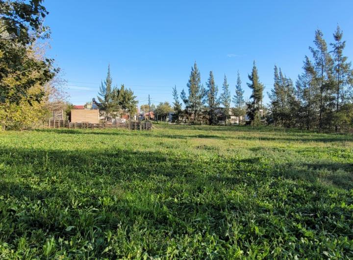 Terreno · 307m²