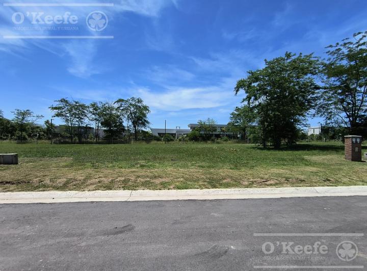Terreno · 601m²