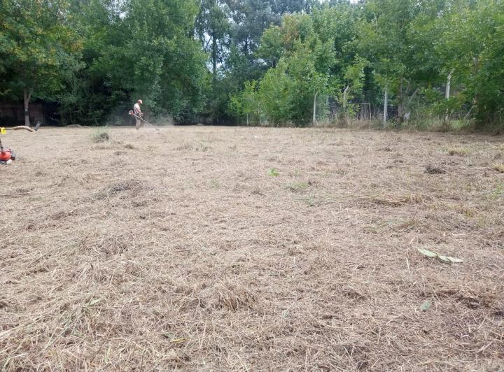 Terreno · 1000m²