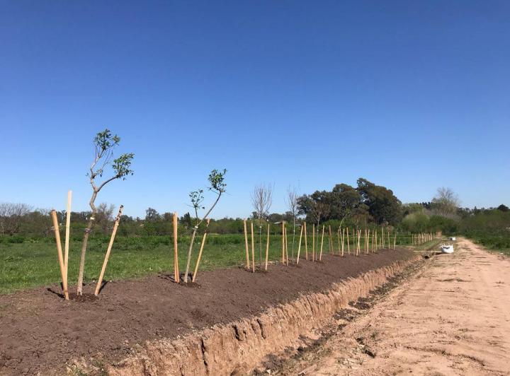 Terreno · 412m²
