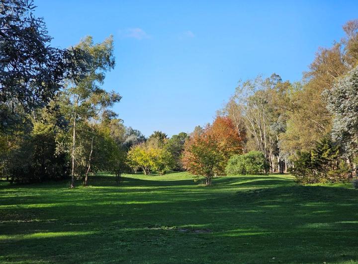 Terreno · 836m²