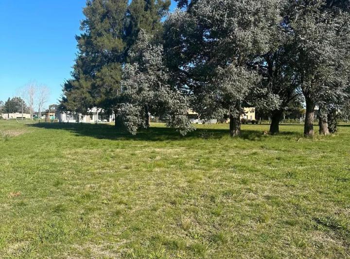 Terreno · 1132m²