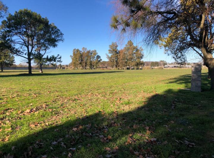 Terreno · 800m²