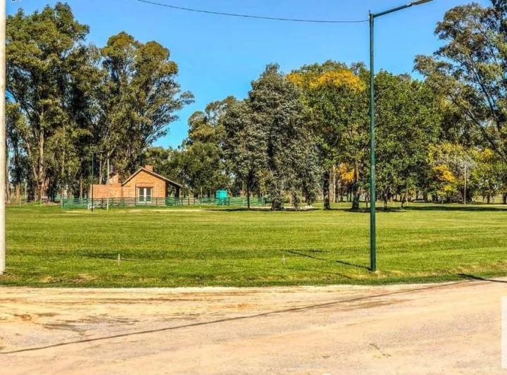 Terreno · 1000m²