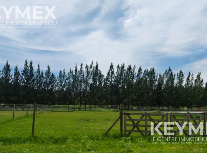 Terreno · 900m²