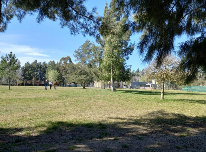 Terreno · 1235m²