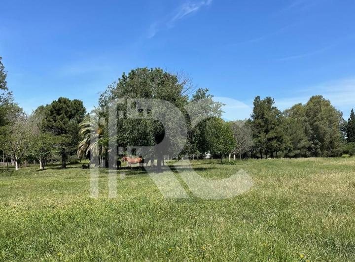 Terreno · 6000m²