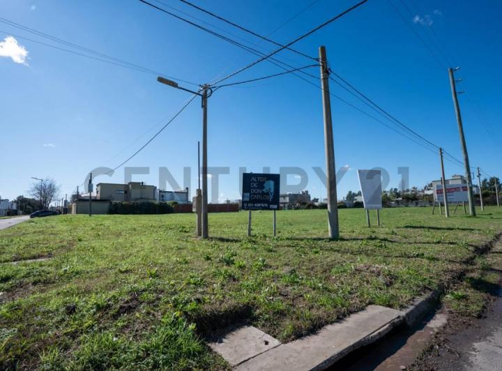 Terreno · 300m²