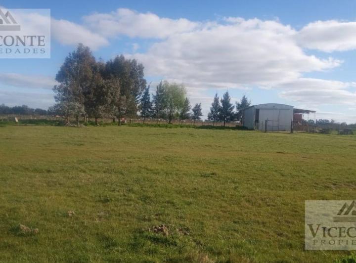 Terreno · 240m²