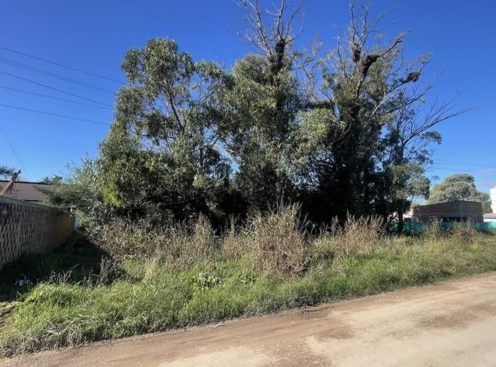 Terreno · 300m²