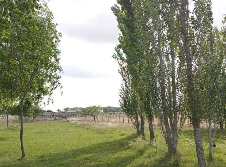 Terreno · 10442m²