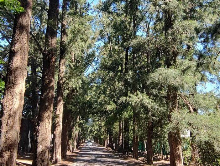 Terreno · 300m²