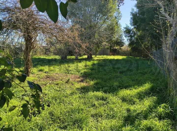 Terreno · 1000m²