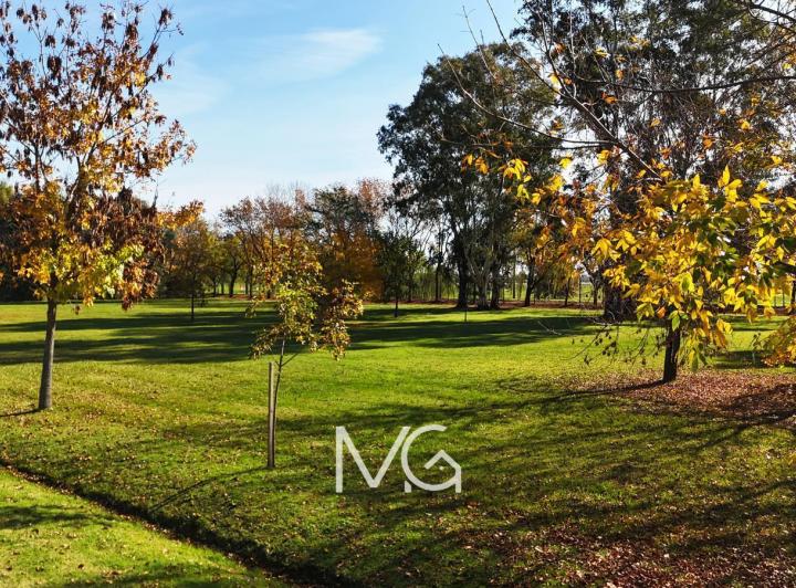 Terreno · 2943m²