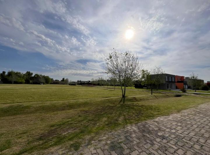 Terreno · 1633m²