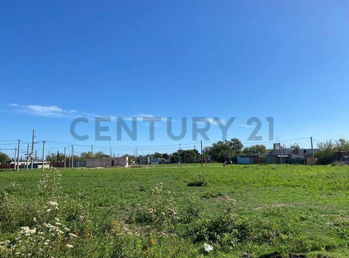 Terreno · 337m²